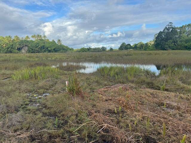 Área para Venda em Entre Rios - 4