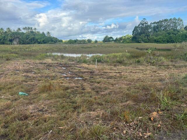 #80 - Área para Venda em Entre Rios - BA - 3