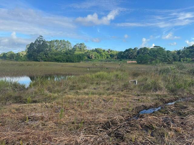 Área para Venda em Entre Rios - 5