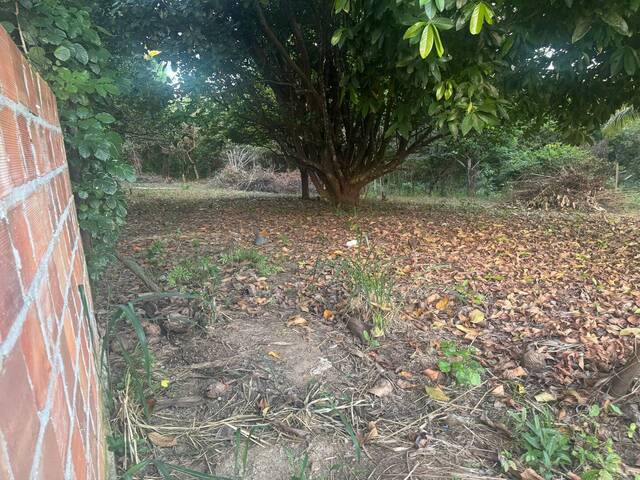 #82 - Área para Venda em Camaçari - BA - 2