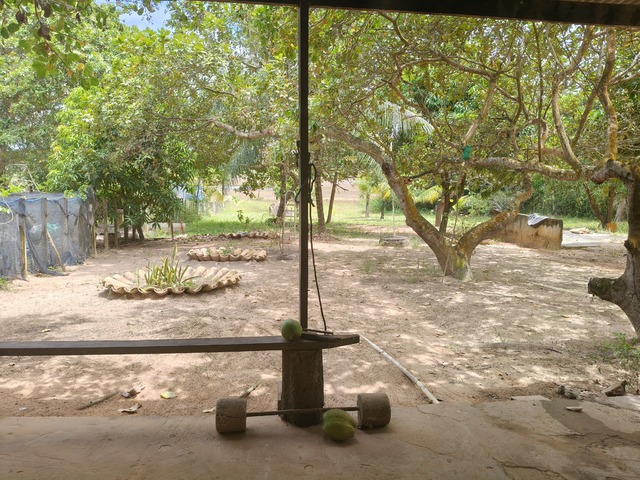 Área para Venda em Camaçari - 4