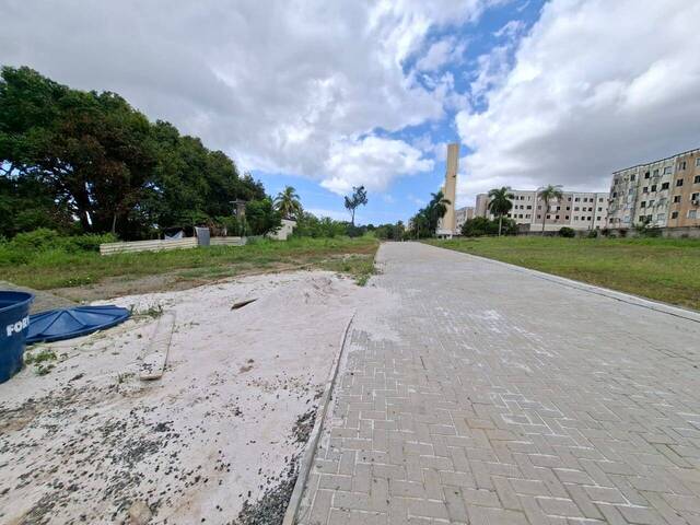 #138 - Área para Venda em Lauro de Freitas - BA - 3