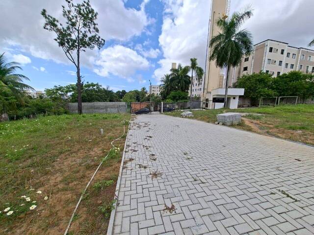 Área para Venda em Lauro de Freitas - 4